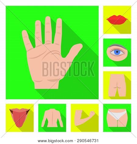 Vector Design Of Human And Part Logo. Set Of Human And Woman Stock Symbol For Web.