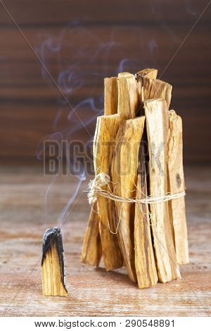 Bursera graveolens, essence and resin. in Spanish (