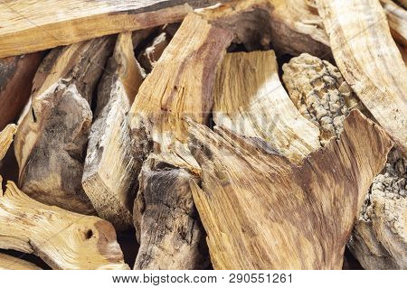 Sacred Wood 