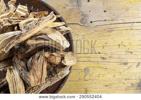 Sacred Wood 