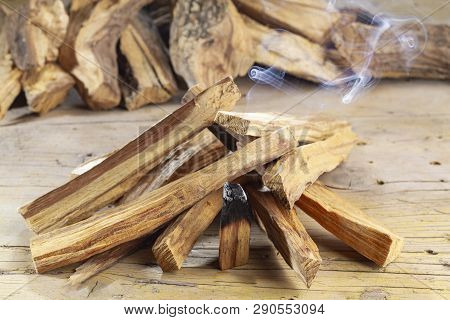 Sacred Wood 