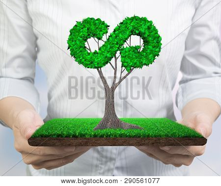 Concept Of Supply Or Development For Circular Economy And Green Friendly Technology, Woman Hands Hol