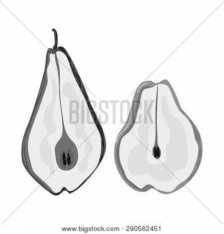 Isolated Object Of Pear And Dry Symbol. Collection Of Pear And Organic Vector Icon For Stock.