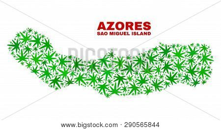 Vector Cannabis Sao Miguel Island Map Collage. Concept With Green Weed Leaves For Cannabis Legalize 