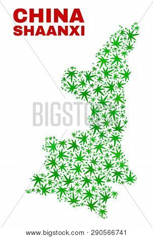 Vector Marijuana Shaanxi Province Map Collage. Concept With Green Weed Leaves For Hemp Legalize Camp