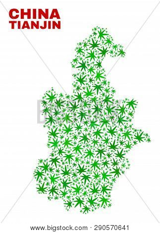 Vector Marijuana Tianjin City Map Mosaic. Concept With Green Weed Leaves For Marijuana Legalize Camp
