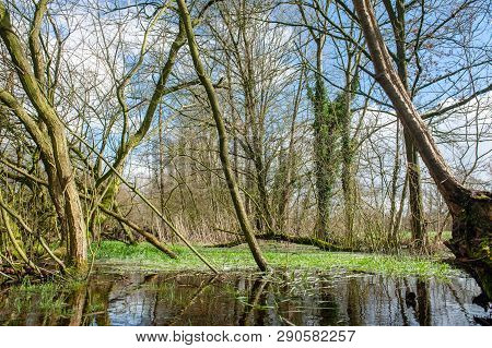Flooded Fields After A Significant Winter Storm, Near The Dutch Town Of Orvelte.