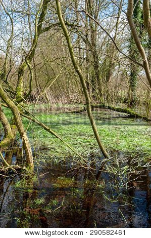Flooded Fields After A Significant Winter Storm, Near The Dutch Town Of Orvelte.