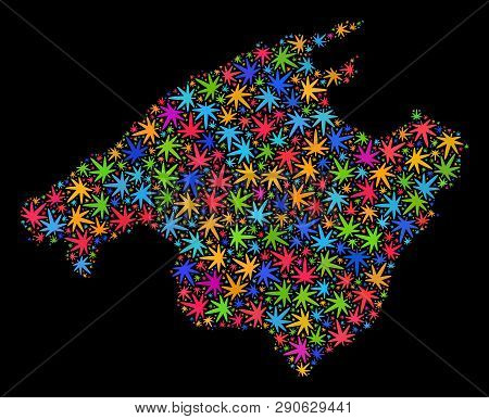 Bright Vector Marijuana Mallorca Map Mosaic On A Black Background. Template With Bright Weed Leaves 