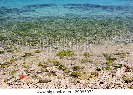 Beach Corals And Rock For Background And Wall Paper