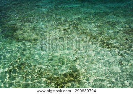 Corals And Rocks Under Sea Water For Background And Wall Paper