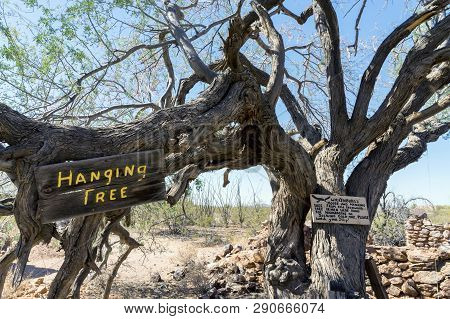 Hanging Tree At Vulture Mine Gold Mine, Maricopa County, Arizona / Usa - 05/31/17