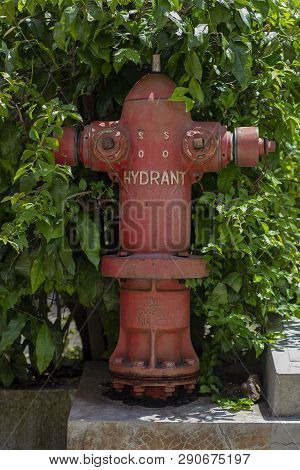 Hydrant Covered By Plant In The Park Or Housing