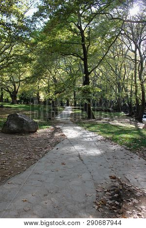 Agios Nikolaos Park Naousa Greece Europe