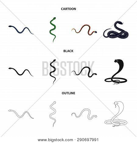 Vector Design Of Mammal And Danger Sign. Set Of Mammal And Medicine Stock Vector Illustration.