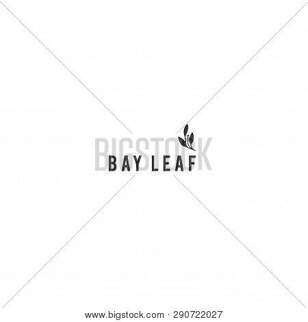 Kitchen And Food Theme Logo Template, Bay Leaf. Isolated Symbol For Business Branding And Identity, 
