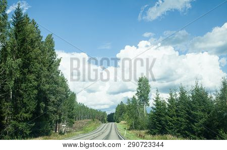 Sunday. Fields, Trees And Road With Blue Sky