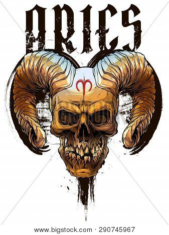 Detailed Graphic Realistic Horrible Colorful Black And White Human Skull With Big Sharp Deamon Horns
