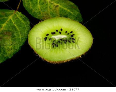 Kiwi Slice
