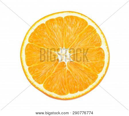Orange Fruit Slice Isolated On White Background