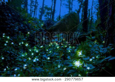 Fabulous Blue Flower With Small Lights In The Middle Of A Wild Forest