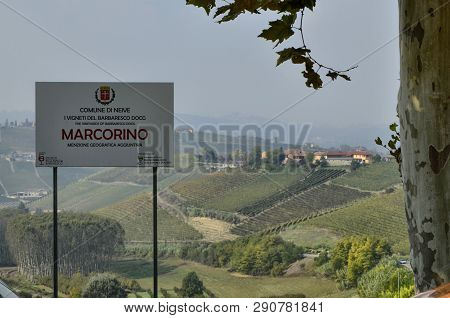 The Landscape Of The Vineyards Of Barbaresco