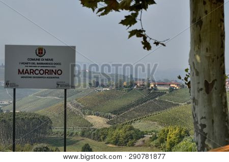 The Landscape Of The Vineyards Of Barbaresco