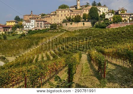 Neive, Piedmont, Italy. October 2018.