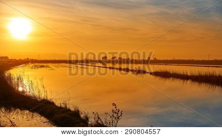 Delta del Ebro Ebre sunset in Deltebre of Tarragona at Catalonia spain
