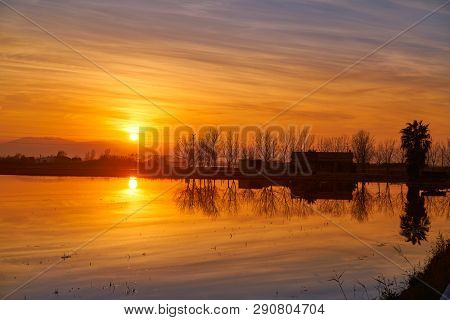 Delta del Ebro Ebre sunset in Deltebre of Tarragona at Catalonia spain
