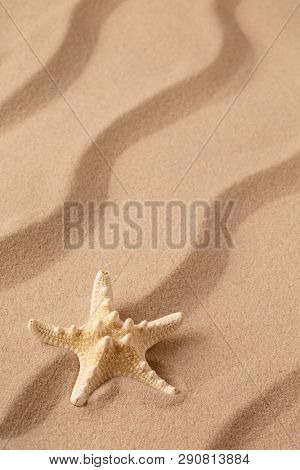 sea star or starfish on tropical beach sand. Sandy background with rippled lines and open copy space. 