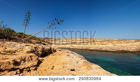 View Of Cala Greca In The Summer Season, Sicily