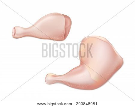 Poultry Raw Meat Pieces 3d Realistic Vector With Chicken Or Turkey Back Quarter Parts As Drumstick A