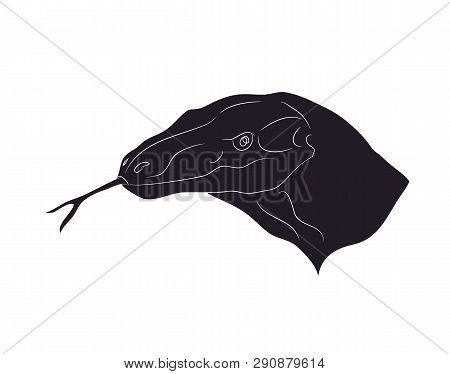 Vector Illustration Of Lizard Portrait, Drawing Silhouette, Vector, White Background