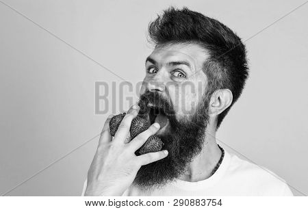 Man Beard Hipster Strawberries Fingers Blue Background. Mostly Carbohydrates Sucrose Fructose Glucos