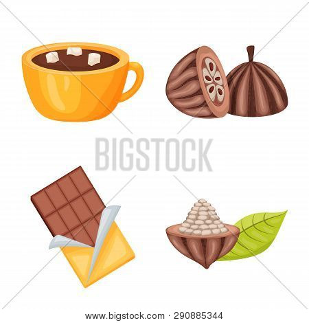 Vector Design Of Cocoa And Beans Logo. Collection Of Cocoa And Sweetness Stock Vector Illustration.