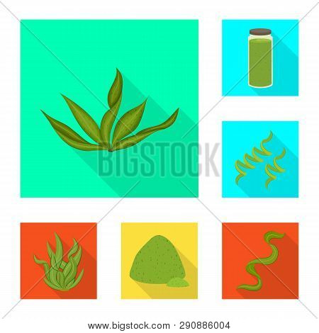 Vector Design Of Protein And Sea Icon. Set Of Protein And Natural Vector Icon For Stock.
