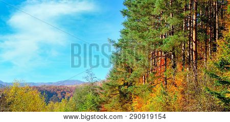Colorful Autumn Landscape With Picturesque Forest And Old Country Road. Sunny Morning Scene. Wide Ph