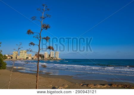 Oropesa de Mar beach La Concha playa in Castellon of Spain