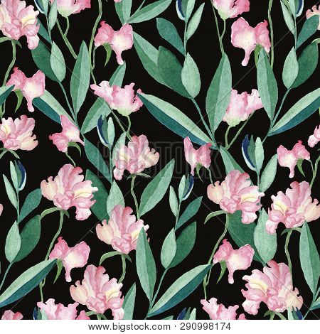 Seamless Pattern With Watercolor   Pea Flowers And Leaves. Illustration Isolated On Black Background