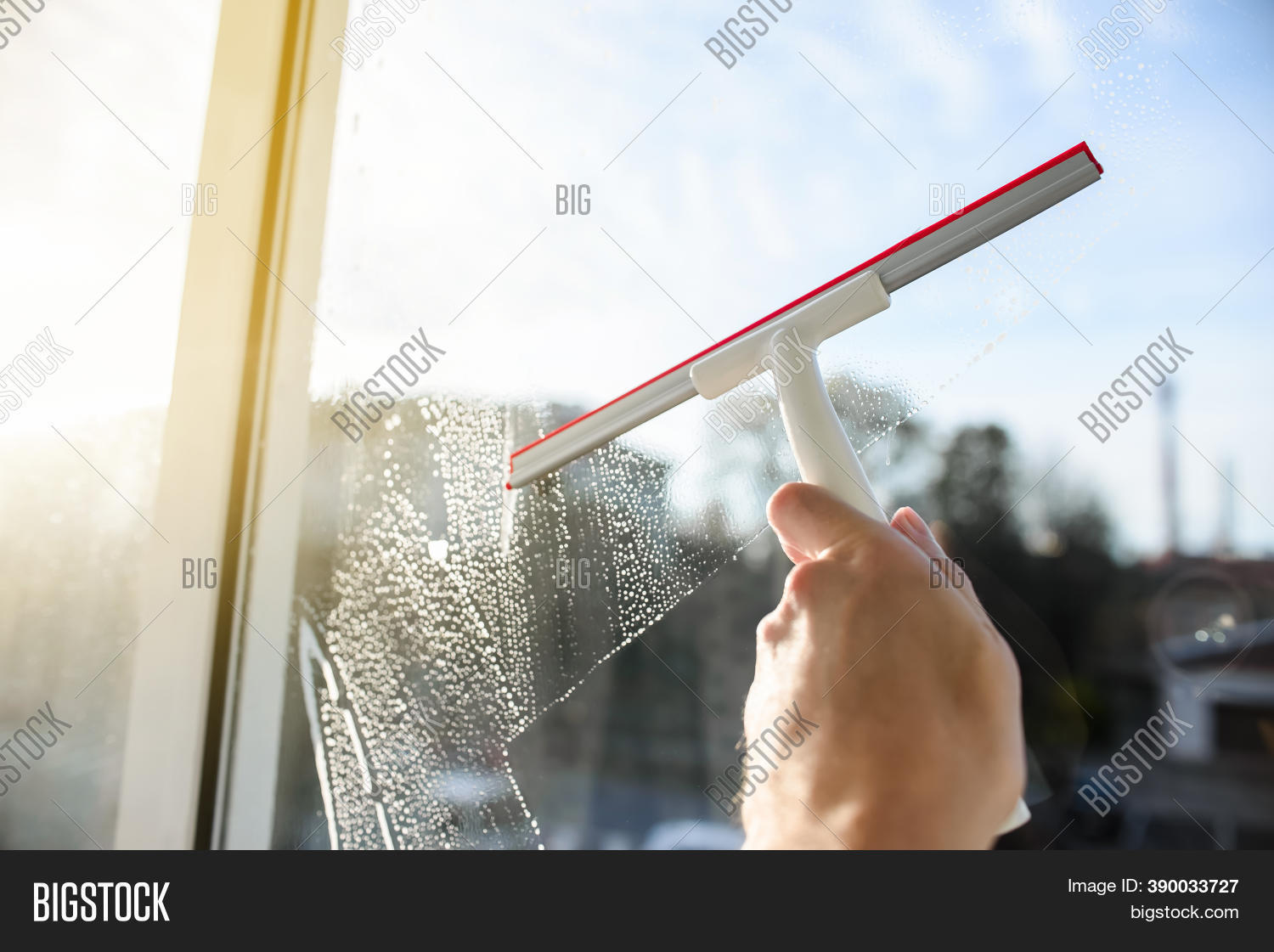 Glass Cleaner Squeegee Image & Photo (Free Trial) Bigstock