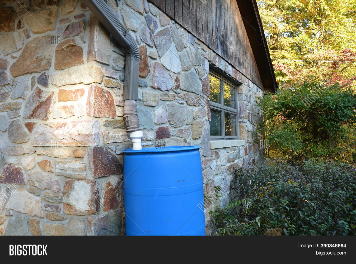 Blue Rain Barrel Image & Photo (Free Trial) Bigstock