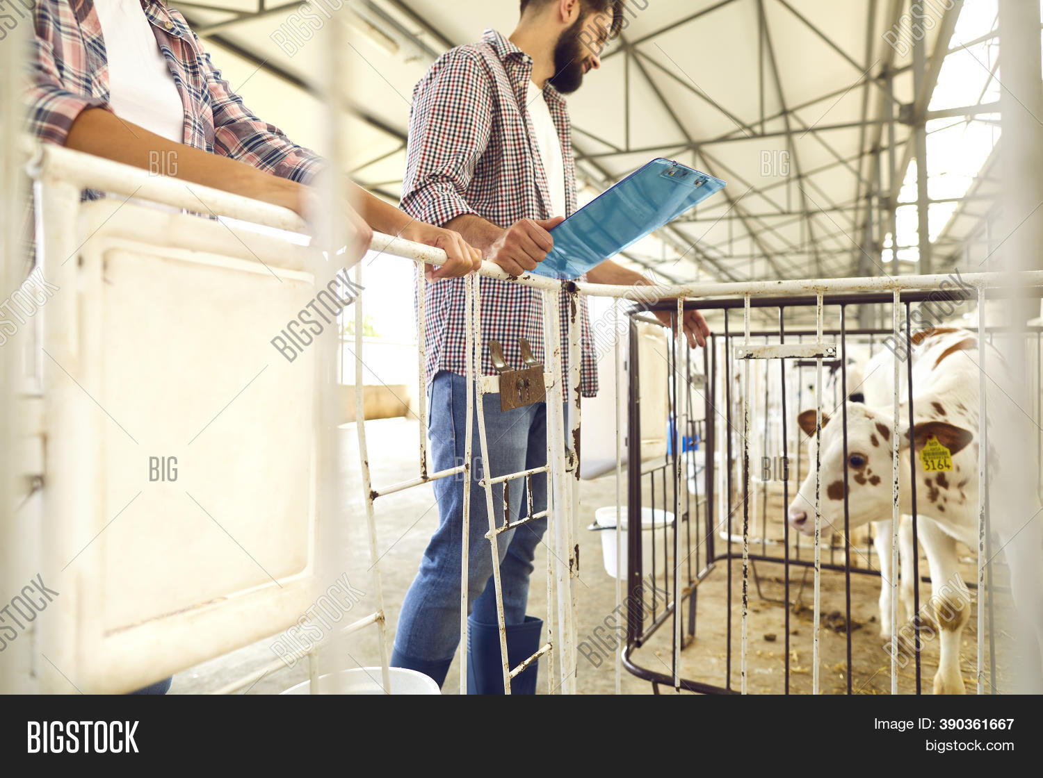 Livestock Manager Image & Photo (Free Trial) | Bigstock