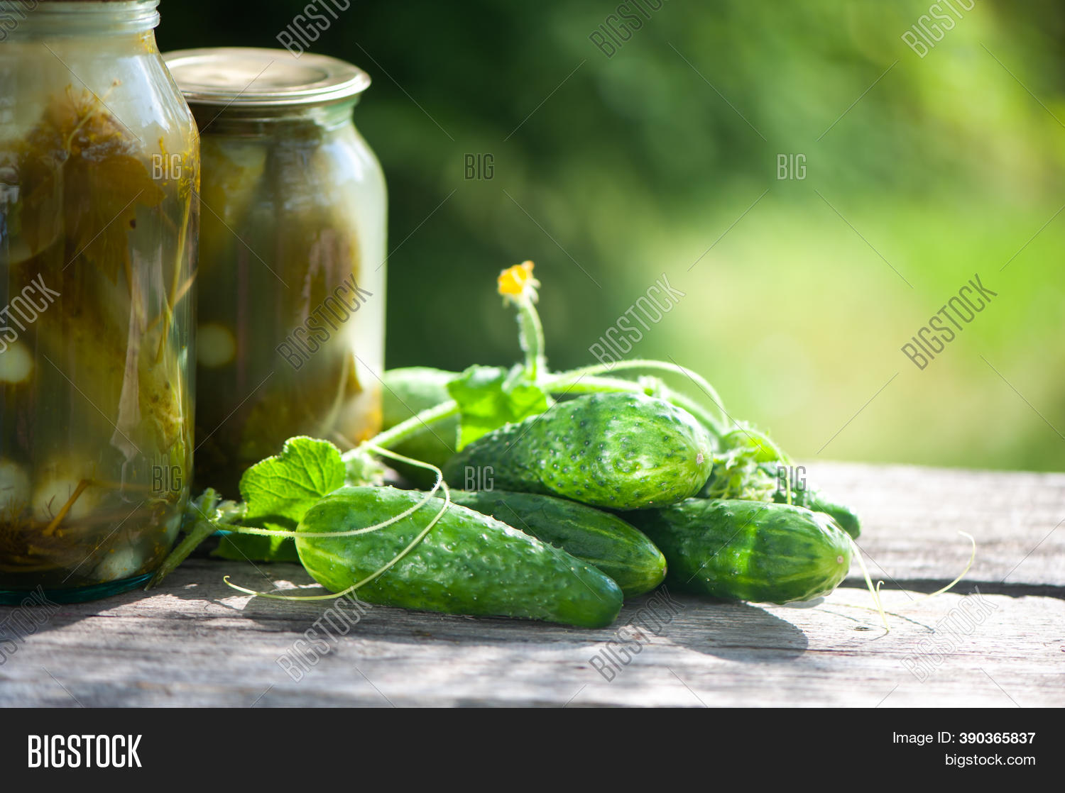 Pickled Cucumbers, Image & Photo (Free Trial) Bigstock