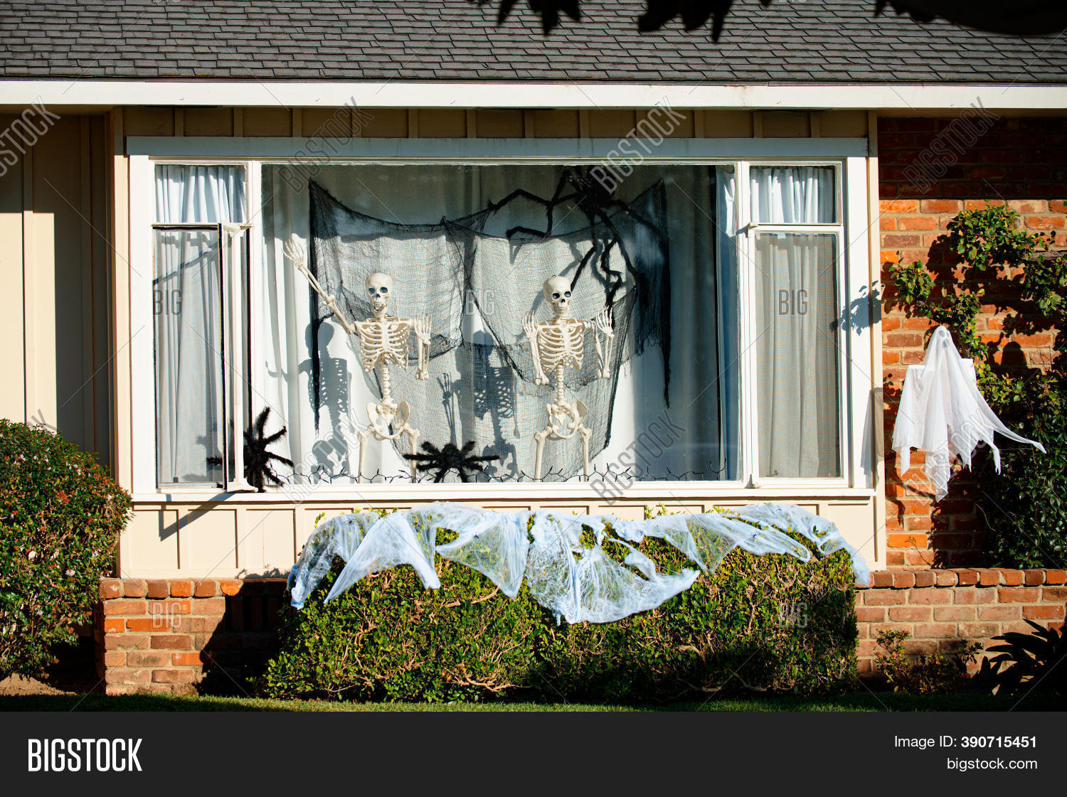Skeletons Window. Image & Photo (Free Trial) Bigstock