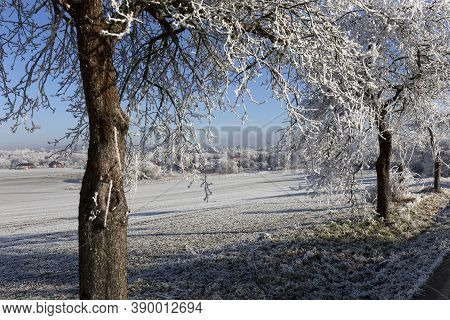 Beautiful Fairytale Snowy Winter Countryside With Blue Sky Along The River Sazava In Central Bohemia