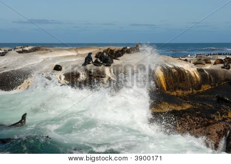 Bella vista dell'isola tenuta