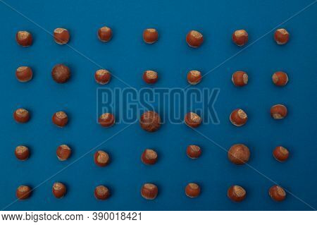 Nuts Of Different Sizes Are Laid Out One By One In A Row