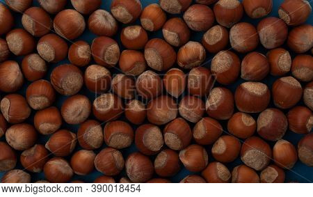 Close Up View Of Hazelnuts On Blue Background