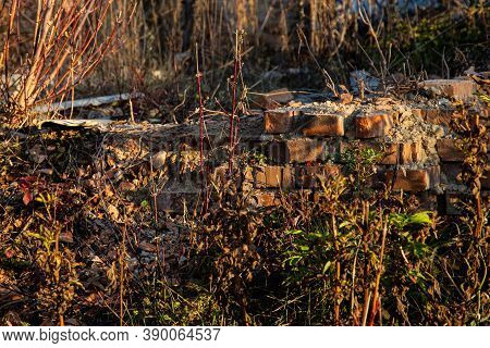 Ruins Of An Old Brick House In The Middle Of The Forest\nremnants Of Old Life\nfinds In The Forest
